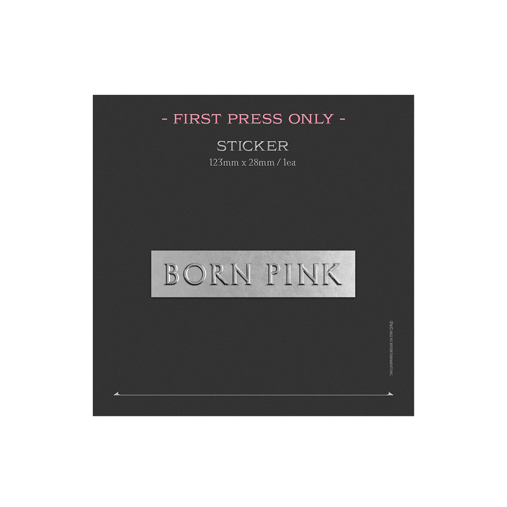 BORN PINK Exclusive Box Set - Gray Version