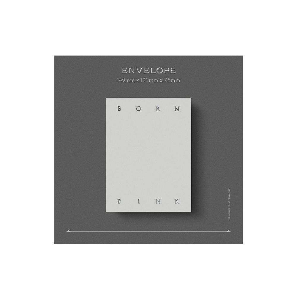 BORN PINK Exclusive Box Set - Gray Version