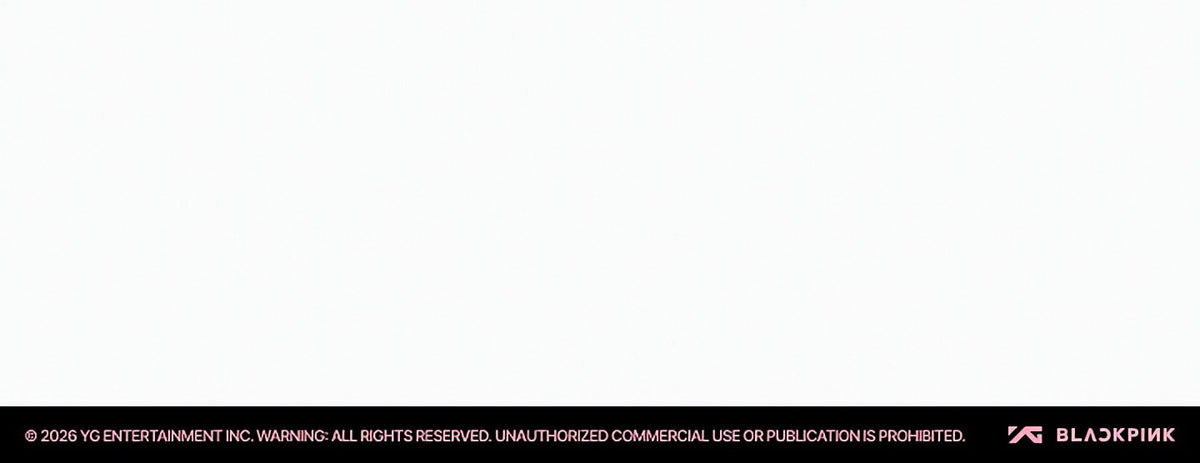 BLACKPINK CHARACTER PLUSH DOLL - image 3
